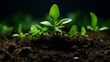 © Andrii Yablonskyi - a very zoomed out picture of a lot of ants carrying a small green leaf created with Generative Ai