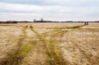 The intersection of the paths. A meadow with dry grass and puddles, with people walking into the distance and with intersecting roads in early spring against the sky. Spring landscape
​
