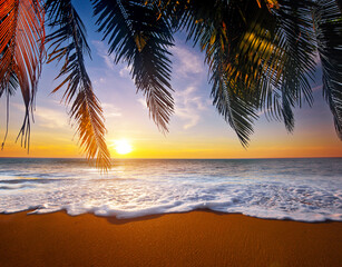 Wall Mural - beautiful tropical beach and leaves of coconut palm trees at sun