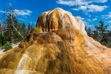 Wall Mural - Orange Spring Mound near Mammoth Hot Springs, Yellowstone National Park