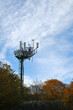Nature vs. Technology: Harmony in Contrast. communications antenna among autumn trees in vertical format.