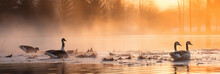 Frozen Lake Breaking Into Spring, Chunks Of Ice Floating, Geese Landing, Early Morning Mist, Soft Sunlight