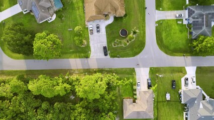 Wall Mural - Aerial view of small town America suburban landscape with private homes between green palm trees in Florida quiet residential area