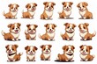 Chibi Art Style Corgi Dog in different poses Streaming Emotes
