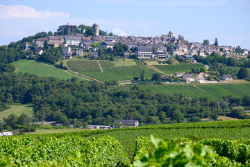 Poster - View on vineyards around Sancerre wine making village, rows of sauvignon blanc grapes on hills with different soils, Cher, Loire valley, France