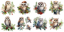 Owl With Holly Plant Watercolor Illustration Clipart. Generative AI