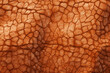 Light brown sauropod skin, organic surface material texture