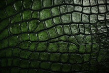 Green Alligator Skin, Organic Surface Material Texture
