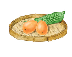 Two loquats and loquat leaves on a bamboo colander painted with digital watercolor