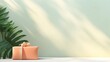 © venusvi - Abstract minimalist pastel background with gift boxes for product presentation. Tropical leaves silhouette nature on spring white wall background.