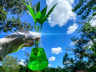 Wall Mural - Trees in a science glass, Experimentation and conservation for the environment