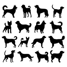 Set Of Dogs, Black Silhouettes Of Dogs Breeds Isolated On White Background. Pets Vector Illustration