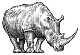 Fototapeta  - Vintage engraving isolated rhinoceros set illustration ink sketch. Africa background rhino silhouette art. Black and white hand drawn image