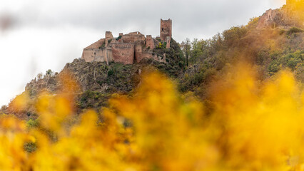 Wall Mural - A beautiful colored vineyards and castle in autumn in Kaysersberg in France