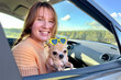 Happy young woman passenger sitting in the car with her puppy, chihuahua little miniature dog looking through window and smile at summer sunny day. Road trip, travelling by automobile 