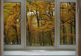 Fototapeta Na ścianę - Window frame, view from the window, landscape outside.