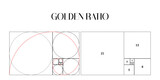 Fototapeta Sport - Golden ratio template. Composition spiral guideline illustration. Logarithmic spiral in rectangle frame fracted on lines, squares and circles outline.