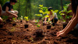 volunteers are engaged in tree planting, restoration of deforested areas, nature conservation