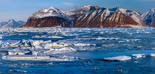 Wall Mural - Davy Sound on the coast of northeast Greenland.