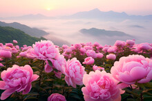 Endless Fields Of Pale Pink Peony Flowers In Fog. Generative AI
