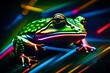  frog illustion , background , colourful illustion , colourful lights ,horse ,abstract colorful rainbow  illustion of frog