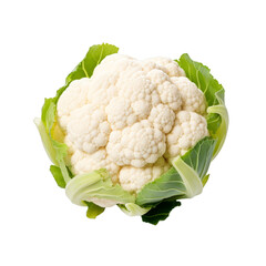 Wall Mural - a cauliflower on a white transparent background