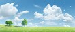 In the abstract background of the sky clouds formed shapes resembling a delicate white flower complimenting the vibrant nature of the green grass and trees in the garden all against a backd