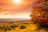 Fototapeta Na ścianę - Herbstlandschaft mit Hügelkette m Hintergrund und Sonnenlicht