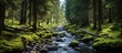 Forest with river nature landscape view. AI generated image