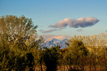 Canvas Print - vista montana