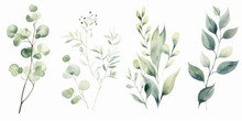 Watercolour Floral Illustration Set. White Flowers, Green Leaves Individual Elements Collection. Green Branches, Eucalyptus, Chamomile. For Wedding Invitations, Anniversary, Birthday, Generative AI