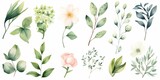 Fototapeta Kwiaty - Watercolour floral illustration set. DIY flower, green leaves elements collection - for bouquets, wreaths, arrangements, wedding invitations, anniversary, birthday, postcards, greetings, Generative AI