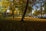 Fototapeta Pomosty - park jesienią