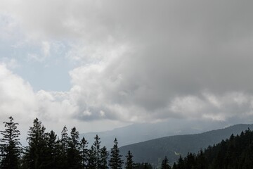 Canvas Print - Landscape of dense clouds over green pine forest in valley and mountain range