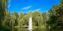 Wasserfontäne Mit Fischreiher Am "Kleinen Teich" Im Berliner Volkspark Friedrichshain - Panorama Aus 4 Einzelbildern (Graffitischmierereien Wurden Entfernt)