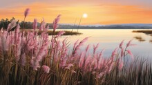 Close-up Picture Of Pampas Grass At Sunset By The Lake.