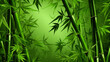 green bamboo shoot forest background