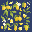 Realistic lemon collection on dark background. Lemons on a branch with flowers and leaves, half of lemon, a lemon wedge, lemon halves, peel and cut piece. Isolated citrus fruits vector illustration.