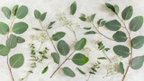 Fototapeta  - Eucalyptus leaves and branches pattern flat lay