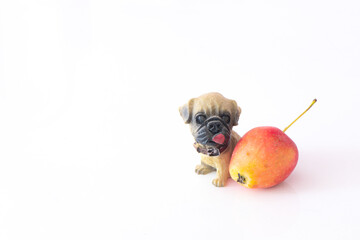 Puppy decorations and sand fruits on a white background