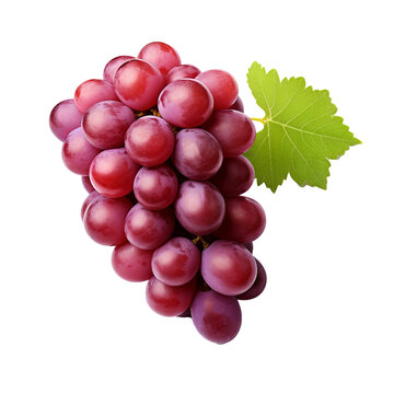 Illustration of a plump grape with a detailed full body, rendered against a clear transparent backdrop.