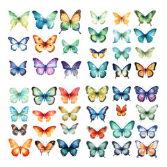 Wall Mural - watercolor butterfly ornament set. Hand drawn isolated on transparent background.