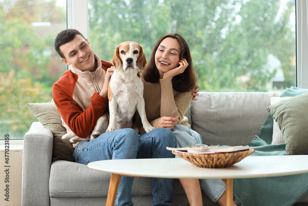 Young couple with cute Beagle dog sitting on sofa at home
