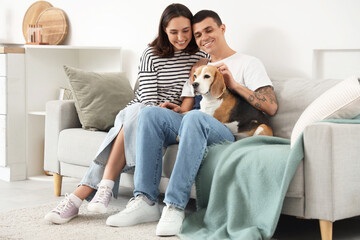 Poster - Young couple with cute Beagle dog sitting on sofa at home