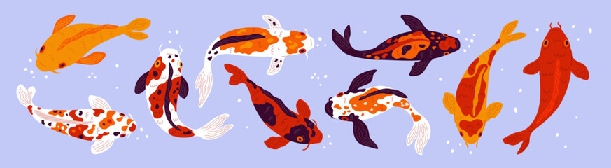 Cartoon koi fish. Different colors pond Japanese carps top view. Underwater decorative inhabitant. Asian spotted goldfish. Chinese water animals swimming in aquarium. Garish vector set