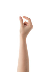Wall Mural - young female right hand hold something medium sized isolated on white