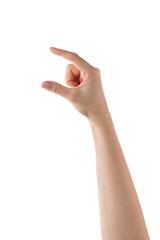 Wall Mural - young female right hand hold something medium sized isolated on white