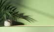 Modern minimal empty matte green counter table top, bamboo palm tree in sunlight, leaf shadow on green wall background for luxury organic cosmetic, skin care, beauty treatment product, Generative AI