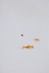 Poster - Stains of sauce on white fabric, top view