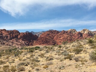 Red Rocks